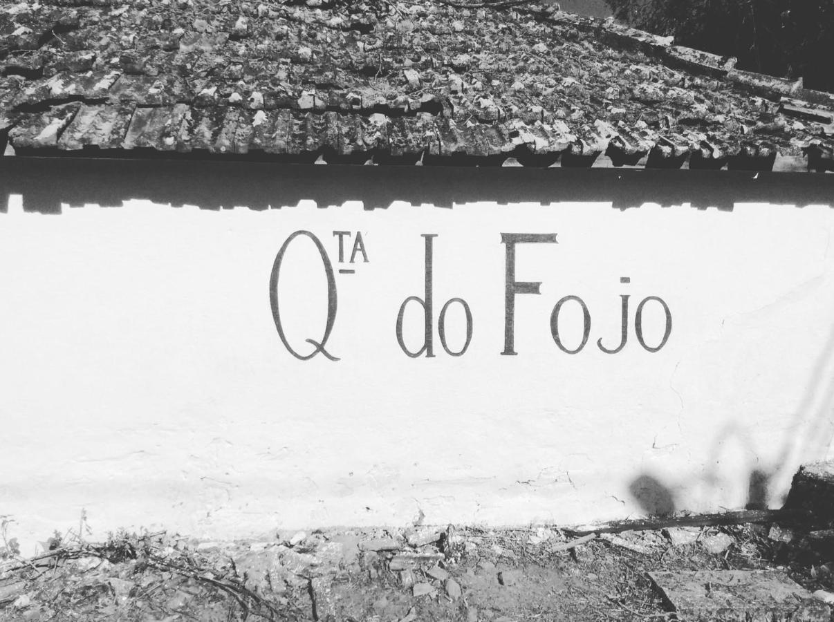 Quinta do Fôjo Lamego Exterior foto