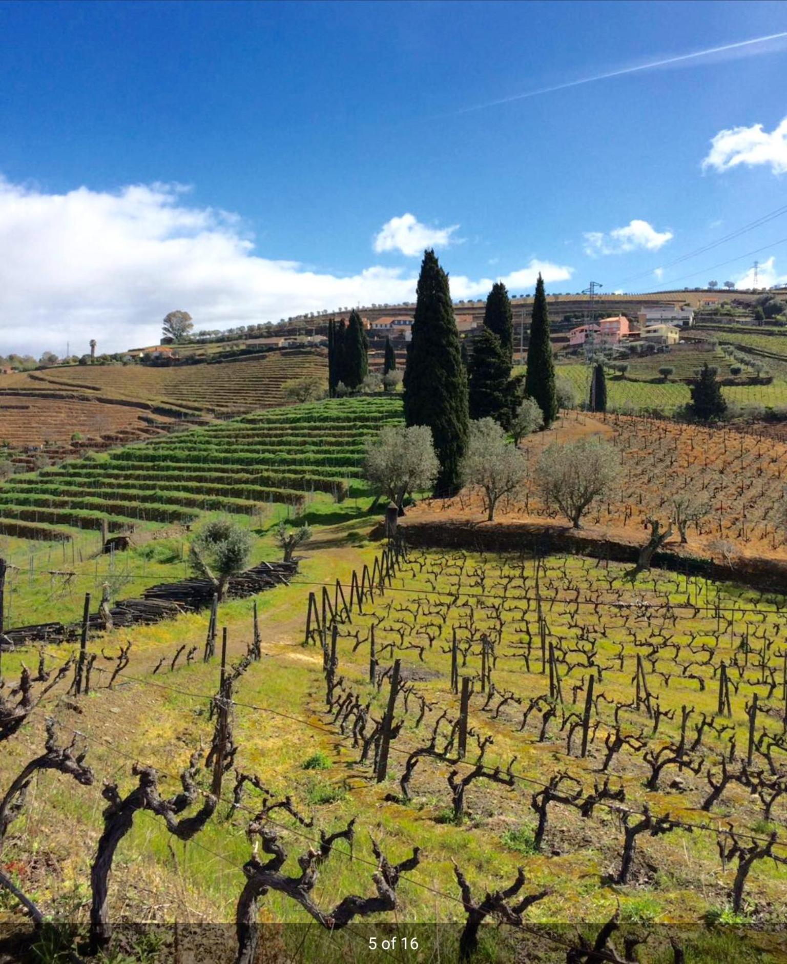 Quinta do Fôjo Lamego Exterior foto