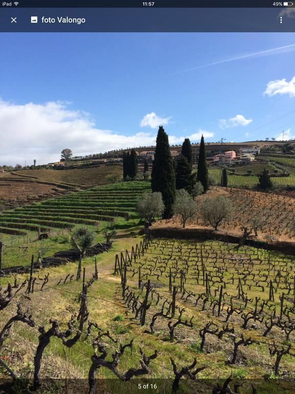 Quinta do Fôjo Lamego Exterior foto