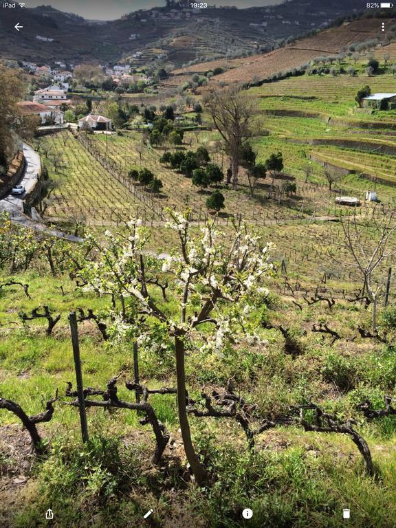 Quinta do Fôjo Lamego Exterior foto