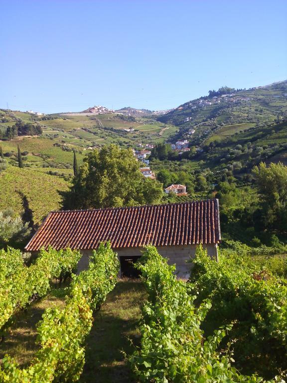 Quinta do Fôjo Lamego Exterior foto